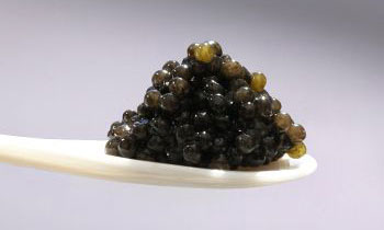 Икра Черная Осетровая Лемберг